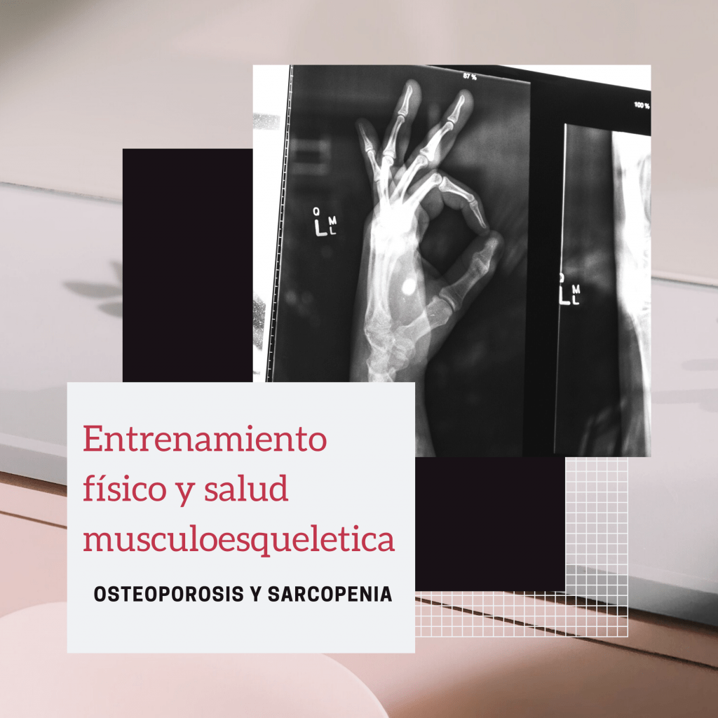 Entrenamientos adultos